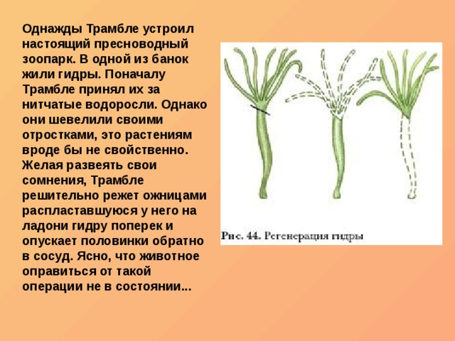 Kraken ссылка зеркало krakentor site